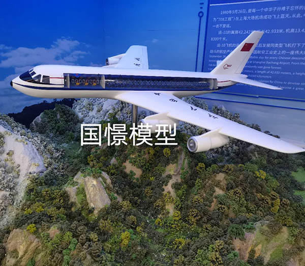 越西县飞机模型